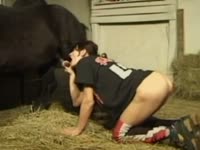Whore giving blowjob to a horse xxx
